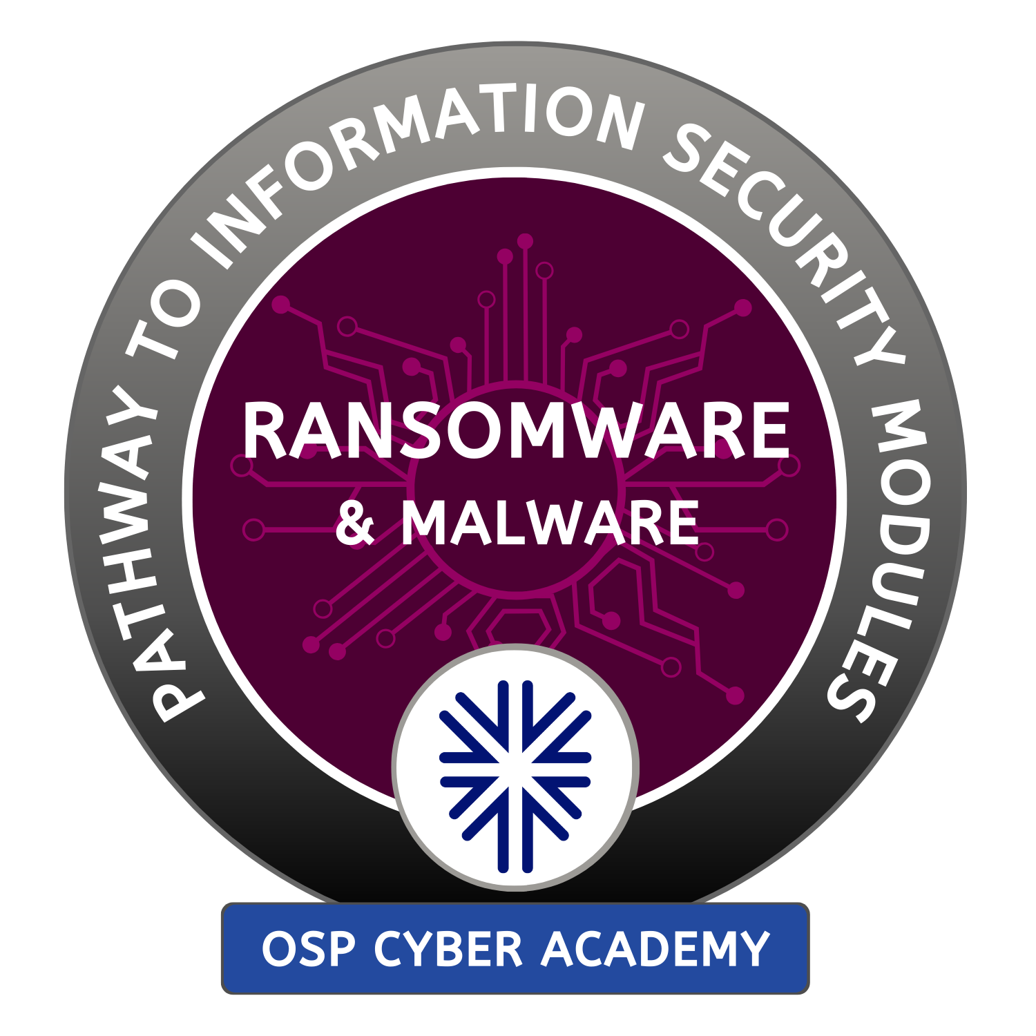Ransomware and Malware Course - Image 2